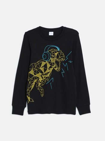 Boys' Thick Sweatshirt Set with Crew Neck