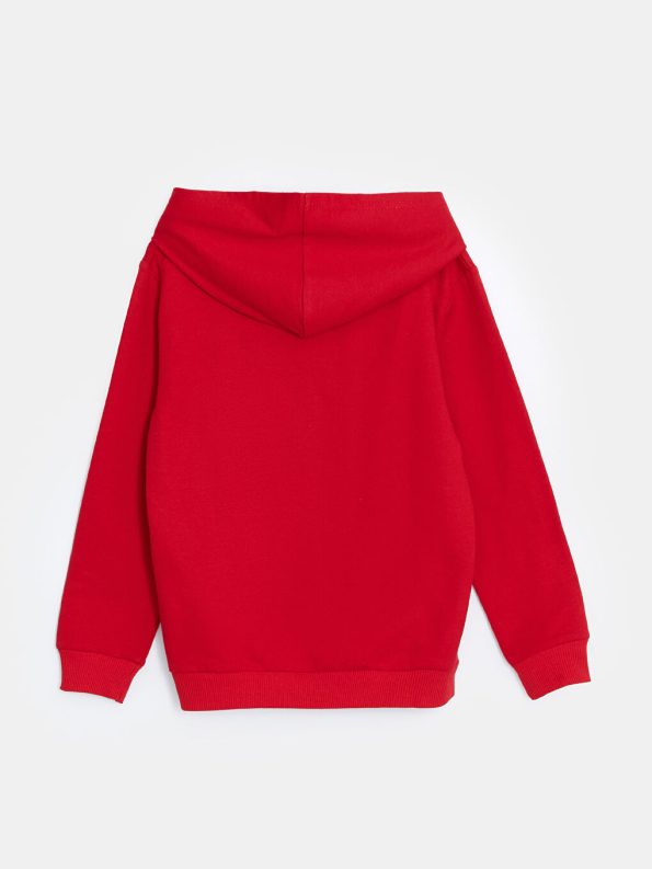 Hooded Thick Sweatshirt Set for Boys