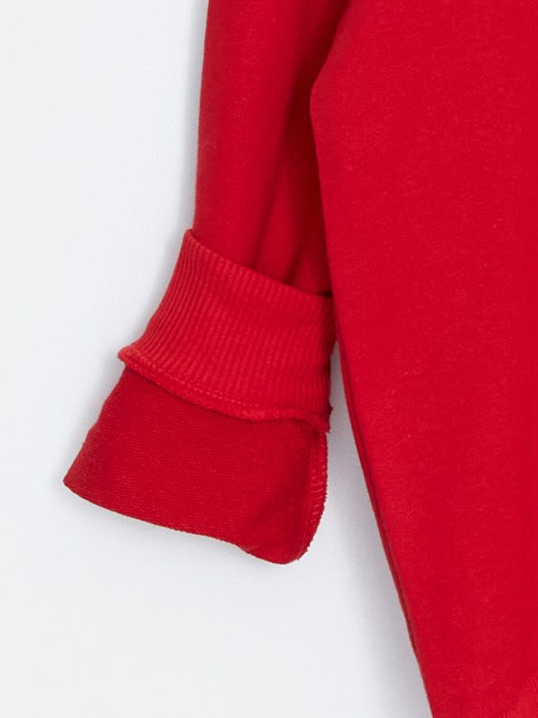 Hooded Thick Sweatshirt Set for Boys