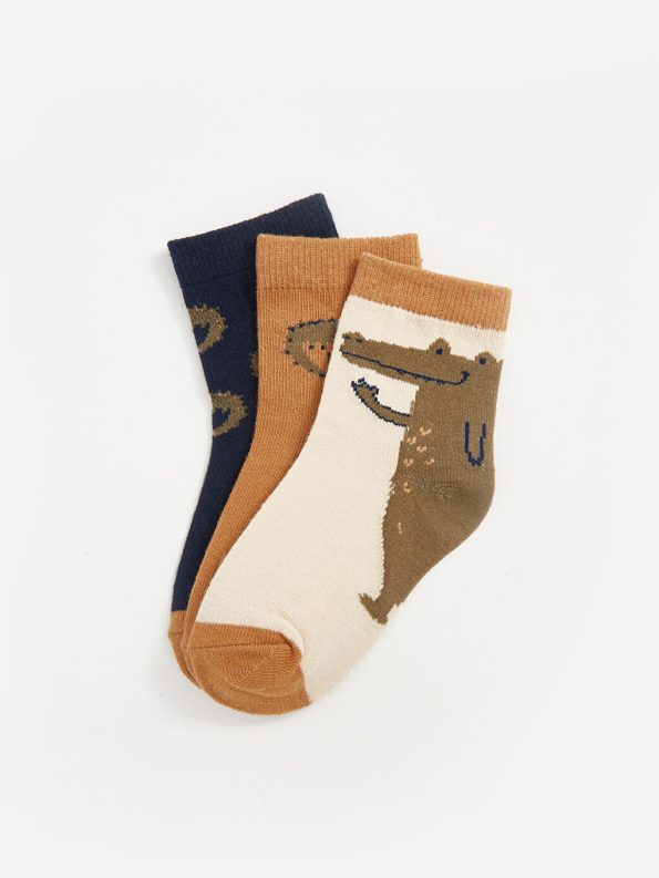 Printed Baby Boy Sock Set of 3