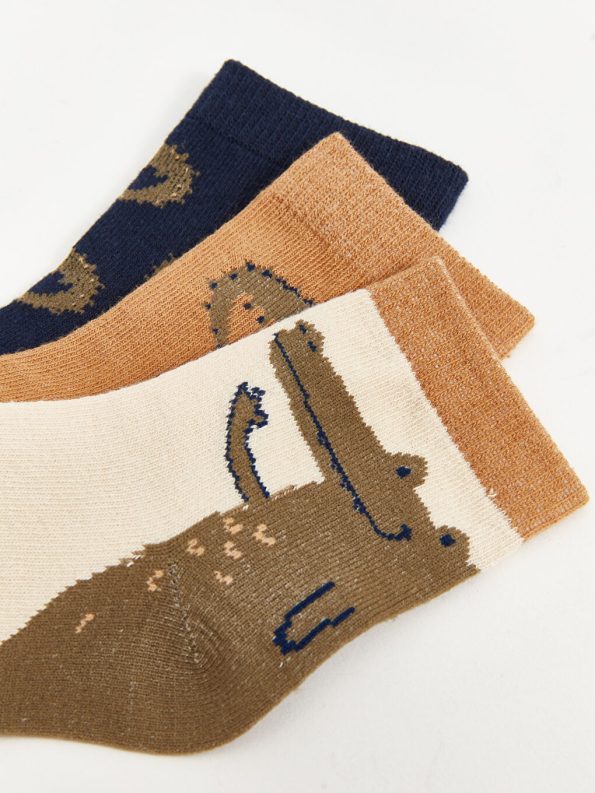 Printed Baby Boy Sock Set of 3