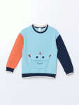 Polo Neck Cotton T-Shirt for Boys