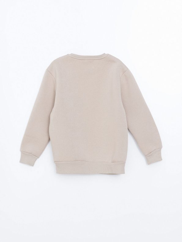 Hooded Printed Thick Sweatshirt for Boys