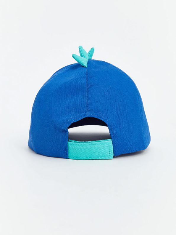 Color Blocked Baby Boy Cap