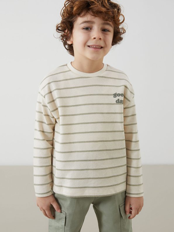 LCW Kids Green Textured Fabric Striped Boys T-Shirt