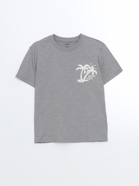 LCW Kids Gray Crew Neck Long Sleeve Printed Boys T-Shirt Set
