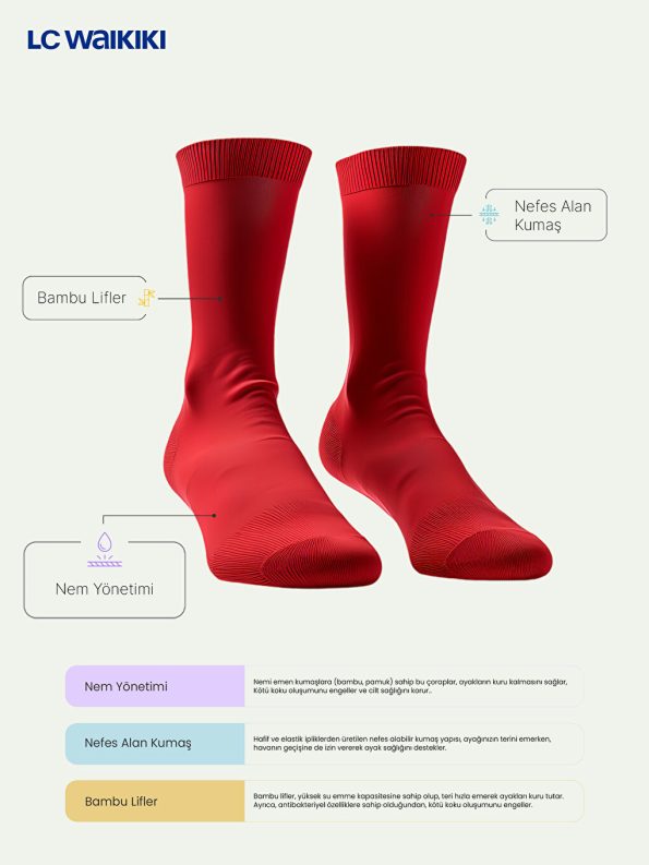 Basic Boys' Ankle Socks Set of 7
