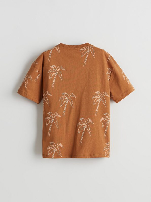 LCW Kids Brown Printed Cotton Boys T-Shirt and Shorts Set
