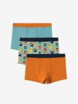 Printed Boys' Boxer Shorts Set