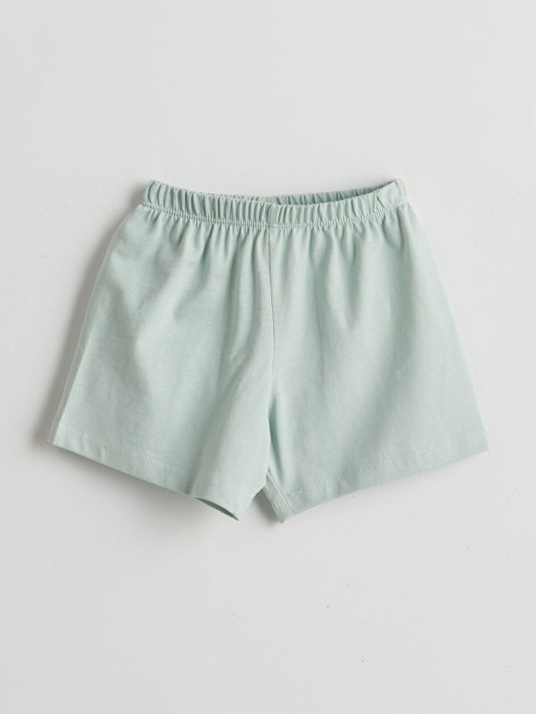 LCW Baby Blue Basic Boys' T-Shirt and Shorts Set