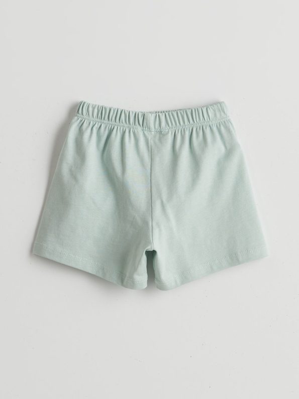 LCW Baby Blue Basic Boys' T-Shirt and Shorts Set