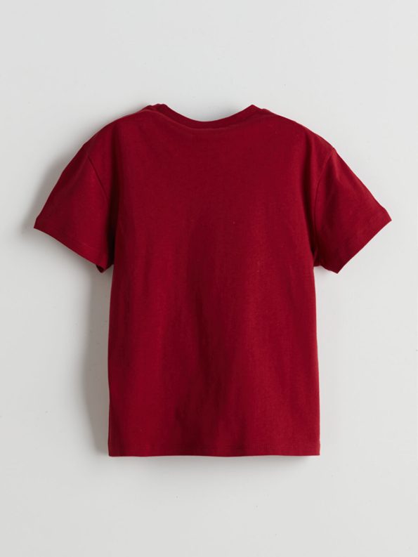 LCW ECO Burgundy Dinosaur Print Boys T-Shirt