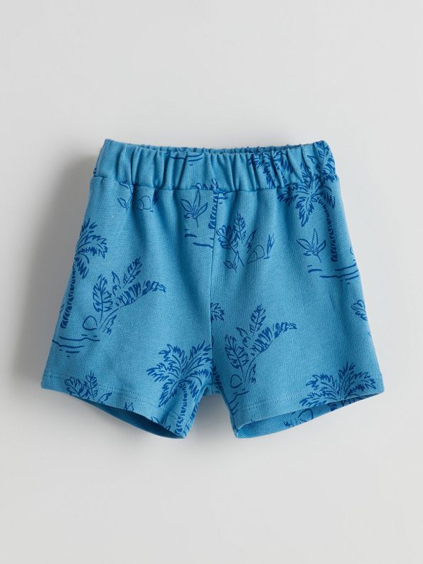 LCW Baby Blue Printed Boys Shirt and Shorts Set