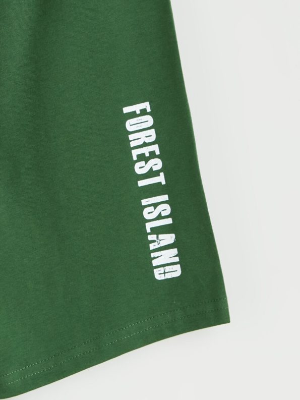 Boys' Crew Neck T-Shirt and Shorts Set