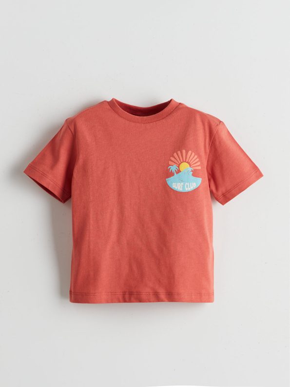 LCW ECO Brown Printed Crew Neck T-Shirt for Boys