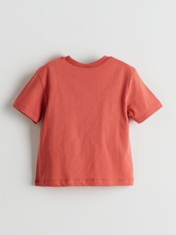 LCW ECO Brown Printed Crew Neck T-Shirt for Boys