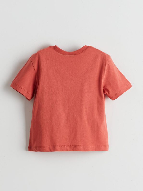 LCW ECO Brown Printed Crew Neck T-Shirt for Boys