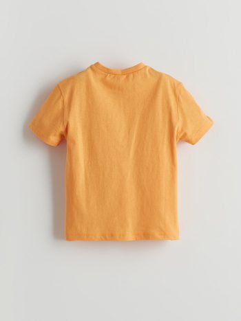 LCW ECO Yellow Crew Neck Printed Boys' T-Shirt