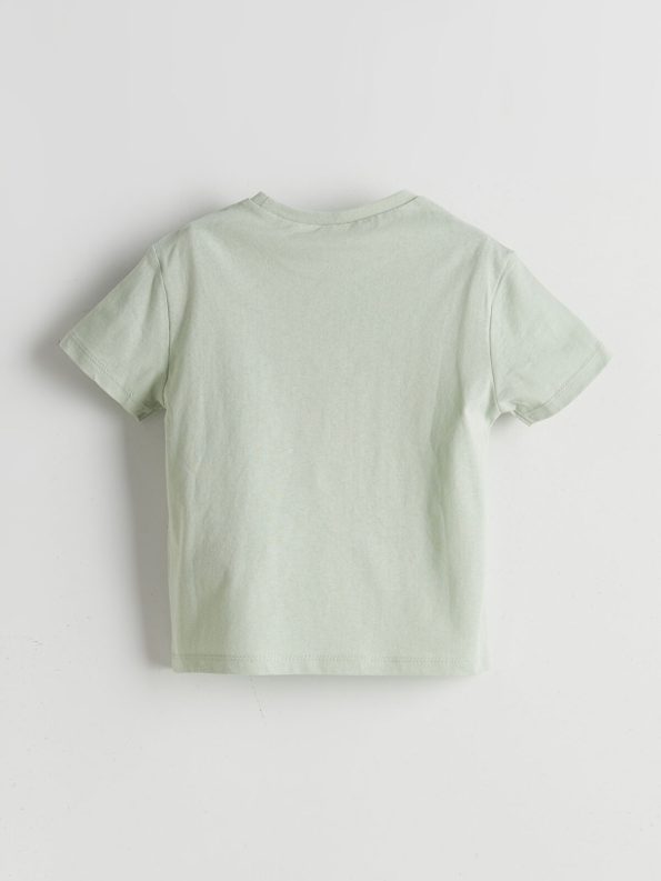 LCW ECO Green Crew Neck Printed T-Shirt for Boys