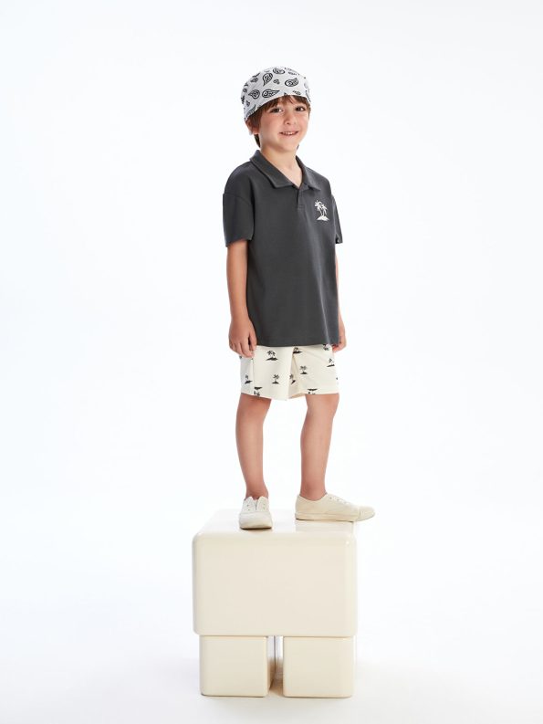LCW Kids Anthracite Printed Boys T-Shirt and Shorts Set