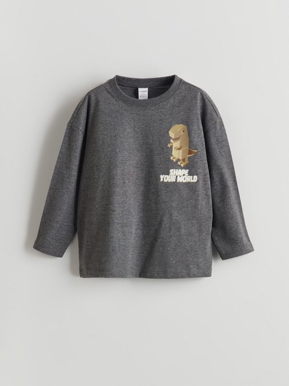 LCW Kids Gray Printed Crew Neck T-Shirt for Boys