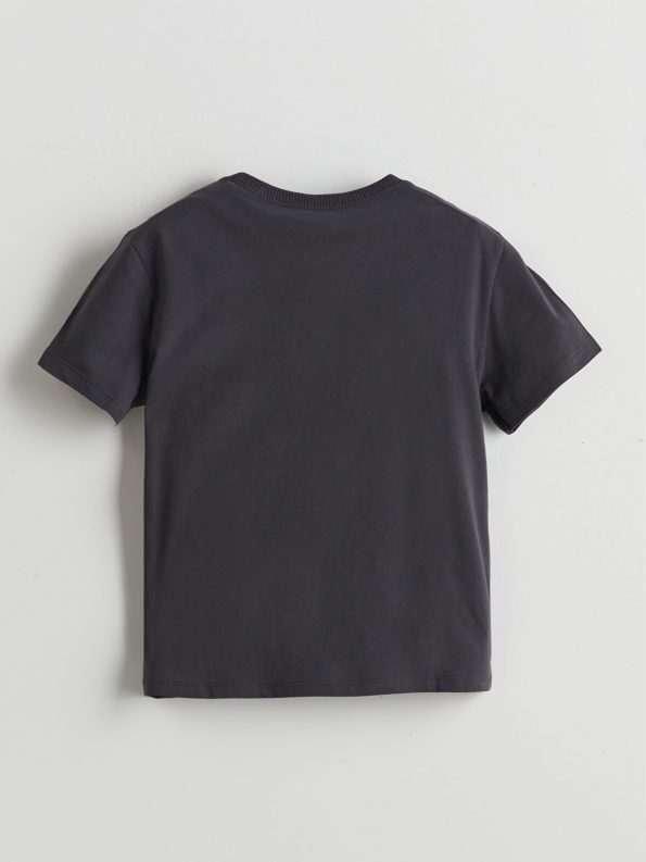 LCW Kids Anthracite Crew Neck Printed T-Shirt