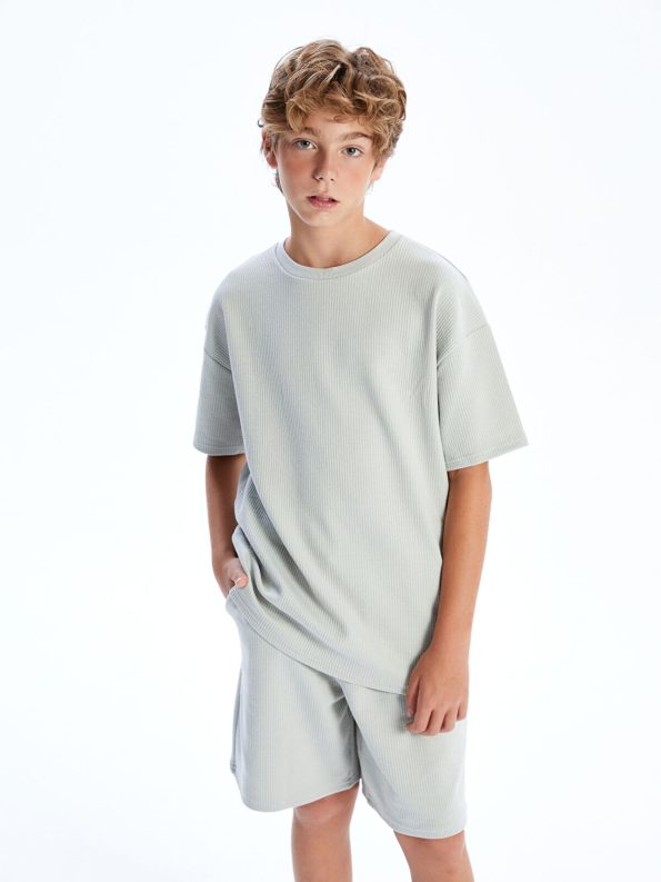 LCW Kids Grey Crew Neck T-Shirt for Boys