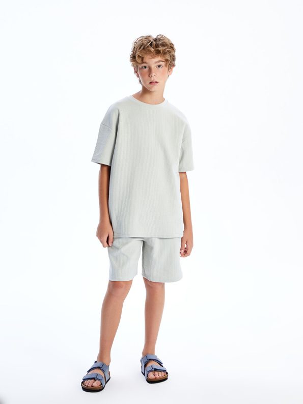 LCW Kids Grey Crew Neck T-Shirt for Boys