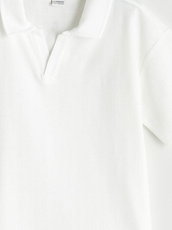 LCW Kids Beige Polo Collar Textured Boy's T-Shirt