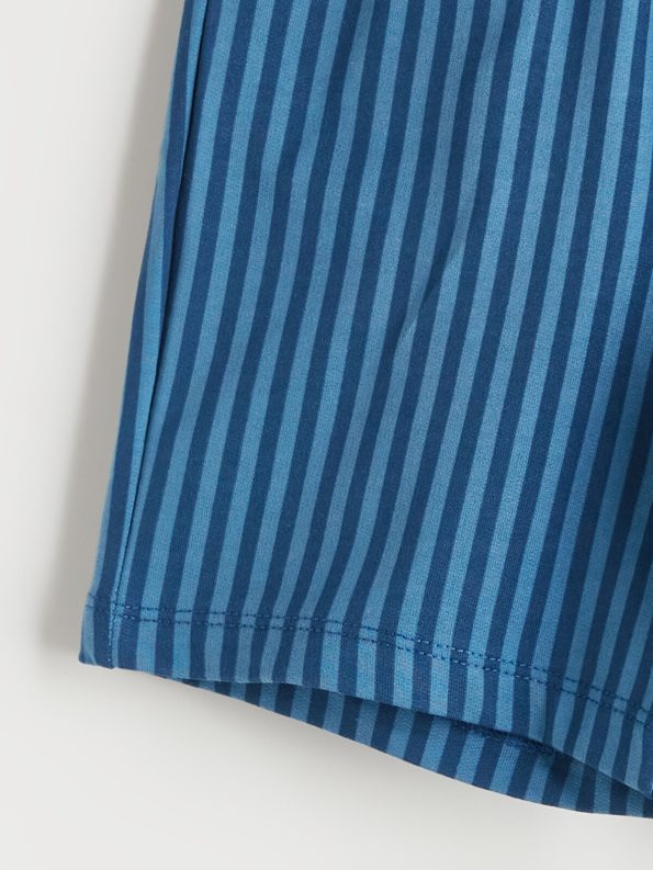 LCW Kids Blue Striped Elastic Waist Boys Shorts