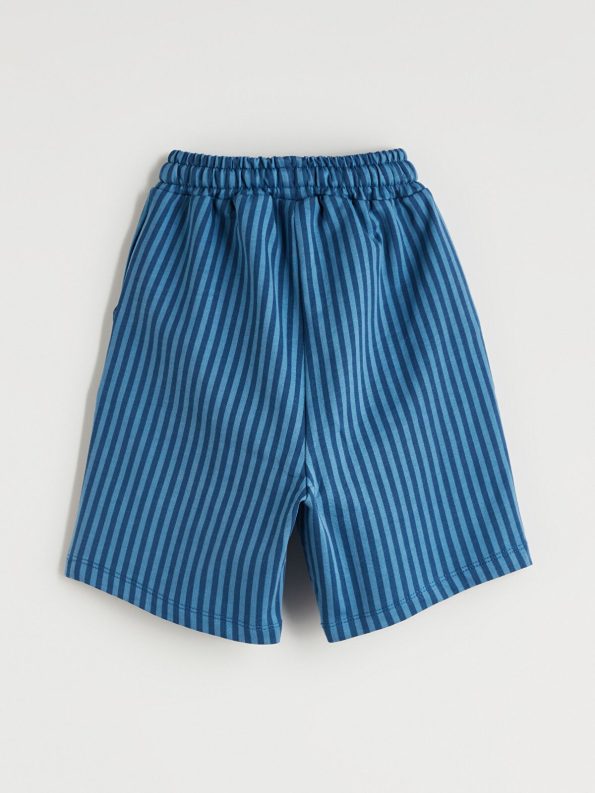 LCW Kids Blue Striped Elastic Waist Boys Shorts