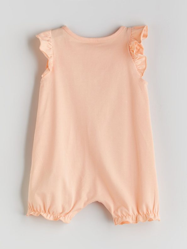 Ruffled Floral Baby Girl Blouse and Pants Set