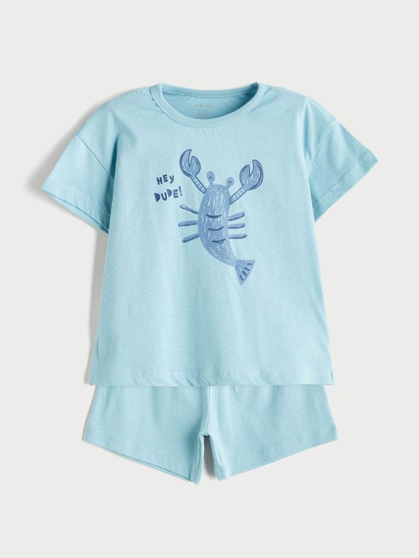 LCW Baby Blue Crew Neck Short Sleeve T-Shirt and Shorts Set