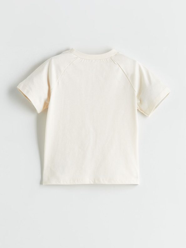 Basic Boys' Baby T-Shirt and Shorts Set