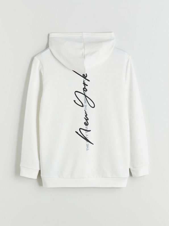 Hulk Printed Boys Thick Sweatshirt