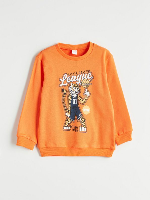 Tiger Print Boys Sweatshirt Set