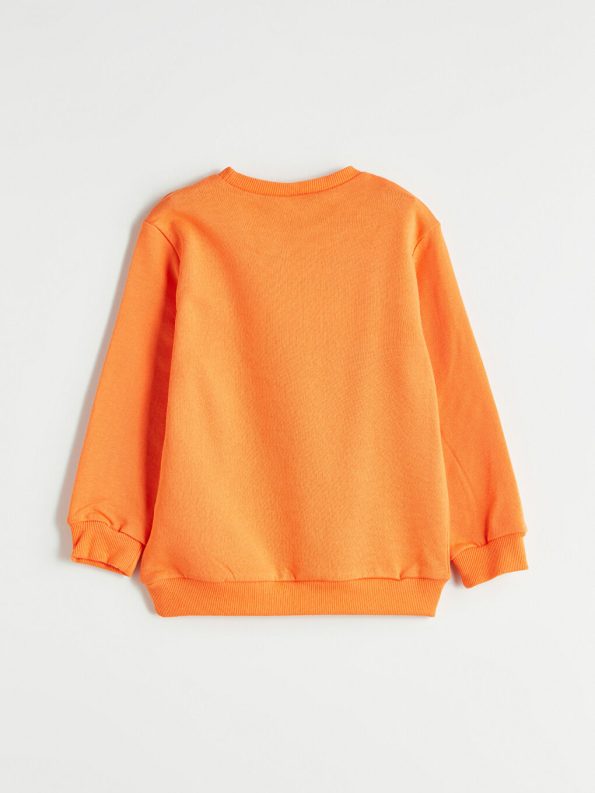 Tiger Print Boys Sweatshirt Set