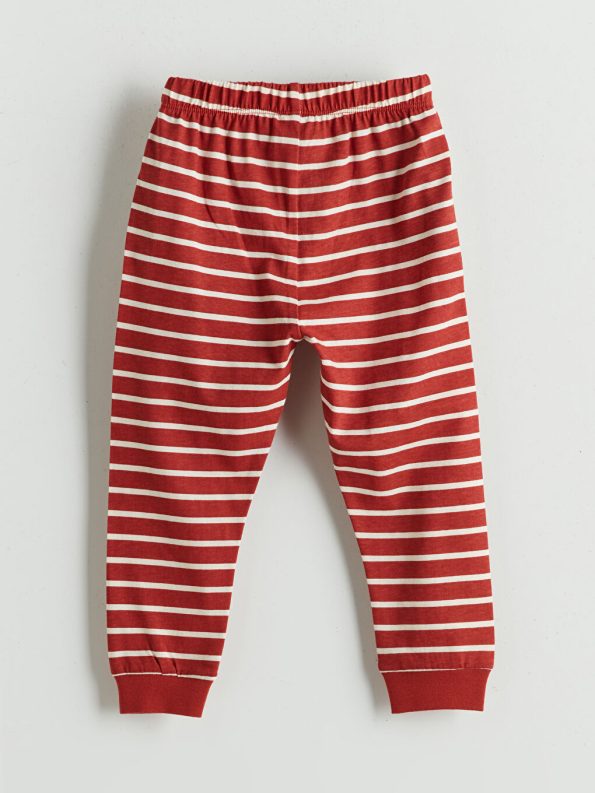 Boys' Long Sleeve Crew Neck Baby Bodysuit Set