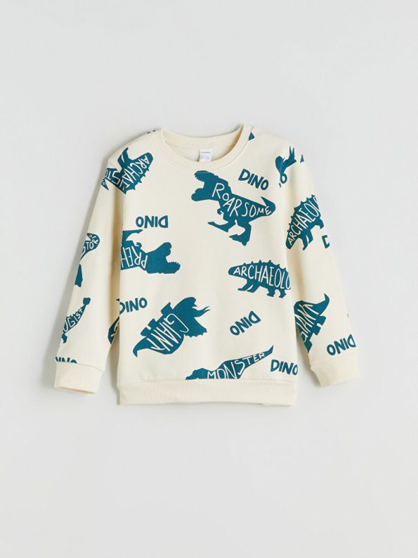 Boys' Crew Neck Sweatshirt