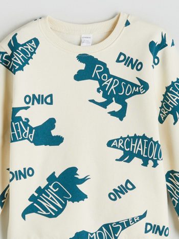 Boys' Crew Neck Sweatshirt