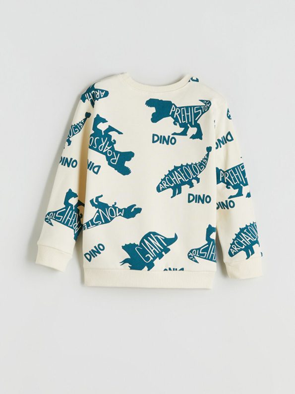 Boys' Crew Neck Sweatshirt