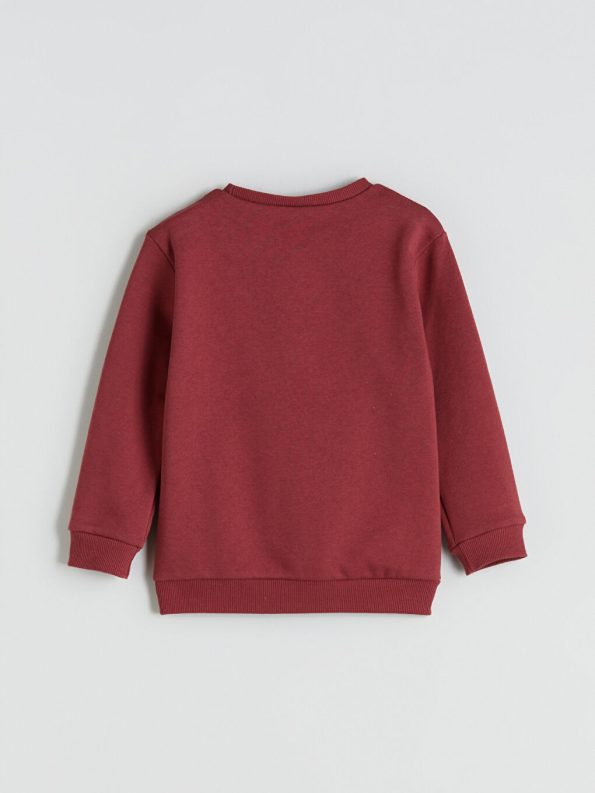Boys' Crew Neck Sweatshirt