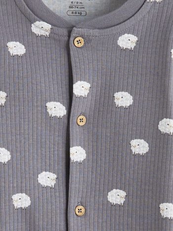 Boys' Printed Crew Neck Sweatshirt and Jogger Pants Set
