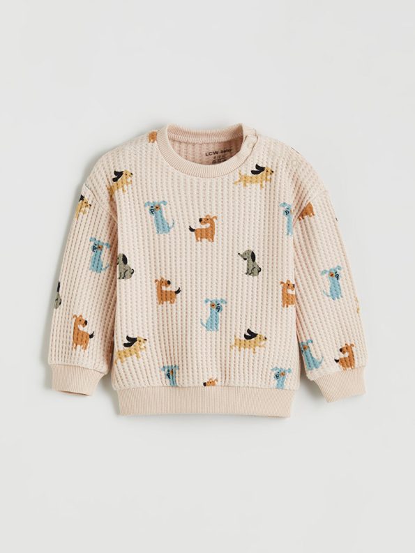 Boys' Crew Neck Sweatshirt and Jogger Set