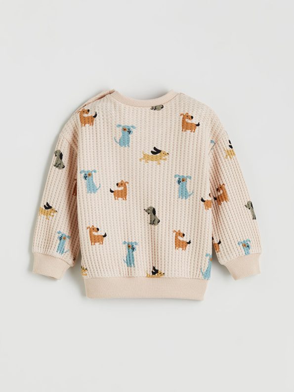 Boys' Crew Neck Sweatshirt and Jogger Set