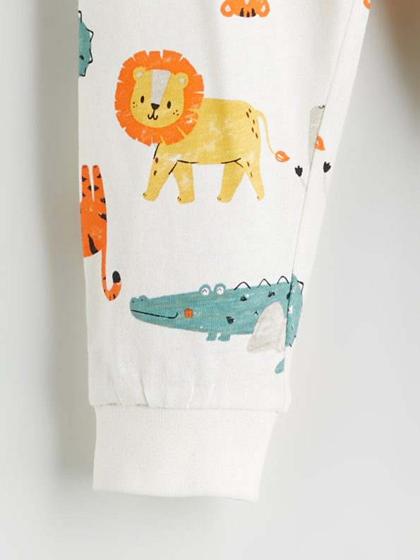 Printed Baby Boy Beanie Set