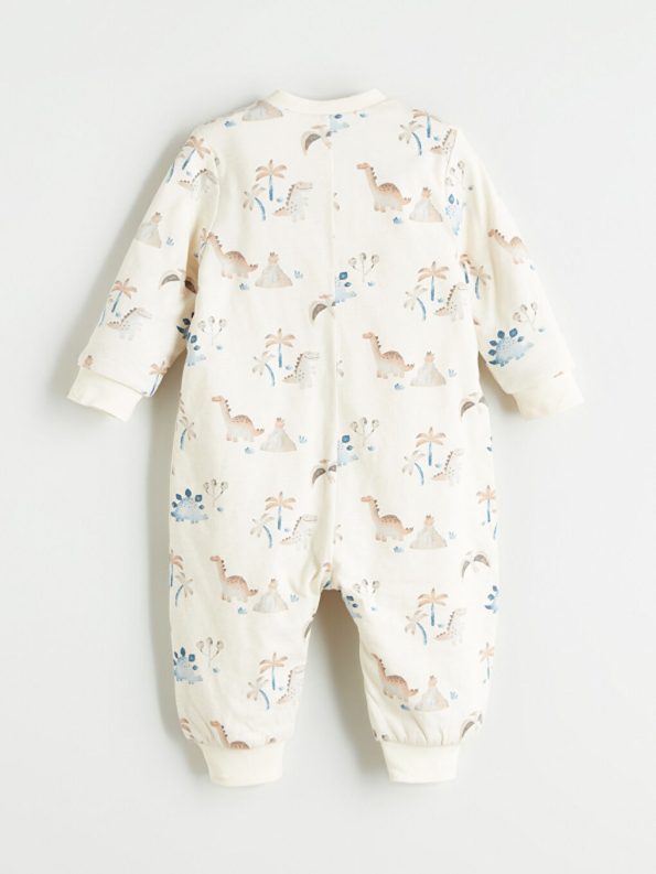 Boys' Crew Neck Sweatshirt and Pants Set