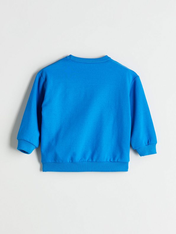 Boys' Crew Neck Sweatshirt