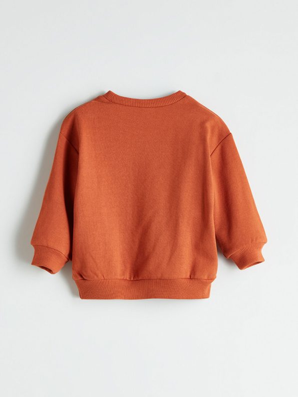 Boys' Crew Neck Sweatshirt