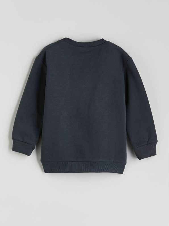 Printed Crew Neck Sweatshirt for Baby Boys
